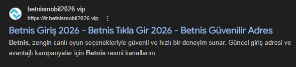 Bu sitelere giriş yapmayın!